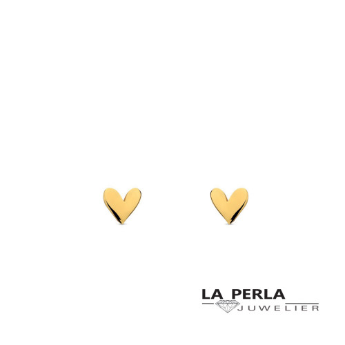 Naiomy silver oorringen N5Q58